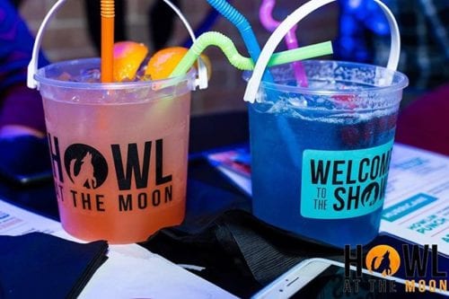 We’ve got a cure for those #winterblues | Mini-Buckets!! 💙💙 . . . 📸| @raysorphotography12 #howlatthemoon #wolfpack #winter #blues #welcometotheshow #friday #friyay #happyhour #mini #bucketdrinks #drinks #adiosmofo #cocktails #barphotography