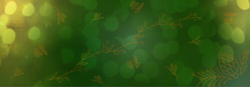 Holiday Party Banner